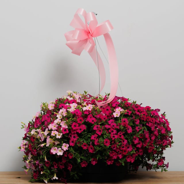 Shop All | Boulevard Flower Gardens